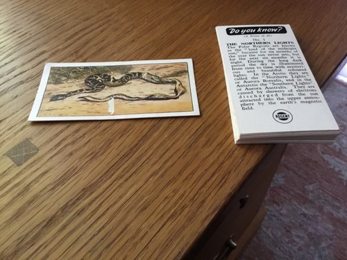 Regent oil collectors cards - cards, do