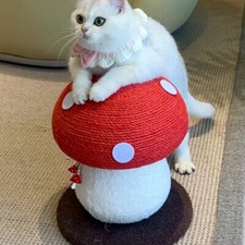 Cute Cat Scratching Post