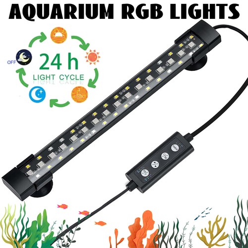 Auto off aquarium - auto,