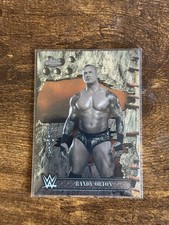 2025 Topps Chrome WWE Cactus