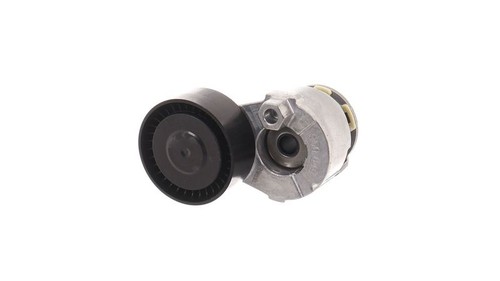 Belt set skf - skf, 36055