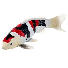 Koi Carp Showa Sanshoku Tri
