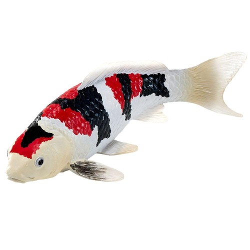 Koi carp showa sanshoku tri - carp,