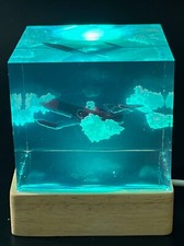 3D Printed and Resin Learjet