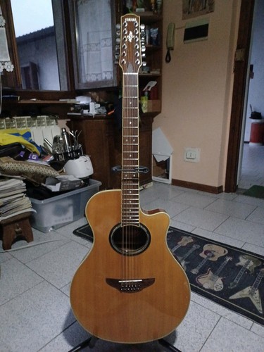 Yamaha apx700 12 - 12, string