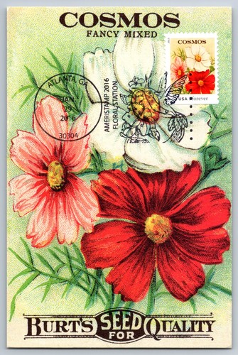 4761 vintage seed packets - #4761,