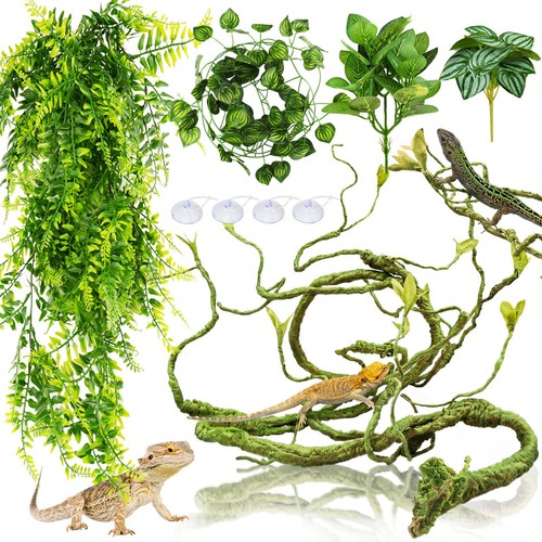 Quozuo bearded dragon tank - quozuo,