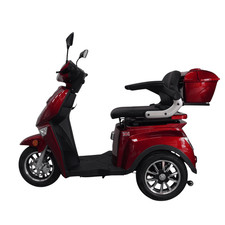 Pathway Road Mobility Scooter