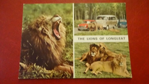 The lions longleat - of,