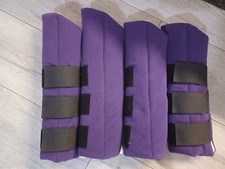 Shetland/ miniature travel