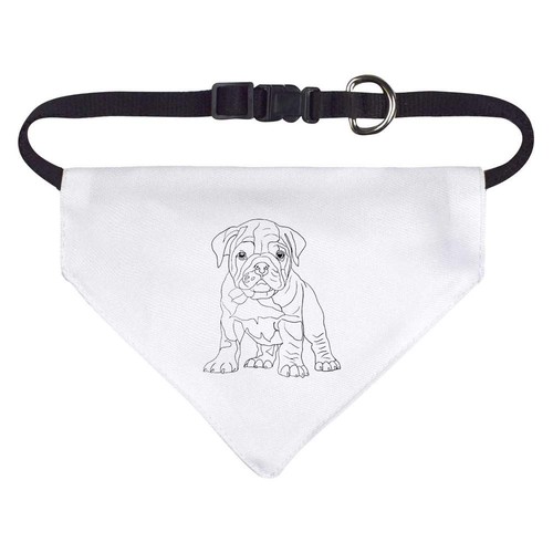 British bulldog puppy dog - 'british,