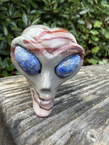 Picture jasper alien head with - jasper,
