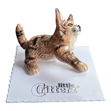 LITTLE CRITTERZ Cat Maine Coon