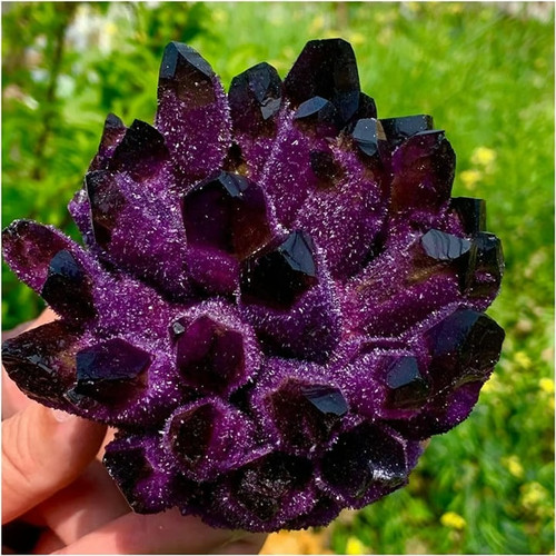 Natural violet ghost phantom - ghost,