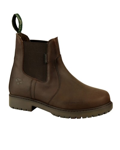 Hoggs fife ladies - hoggs,