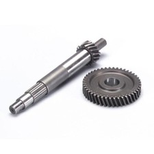 202.1389 GEAR PRIMARY RATIOS