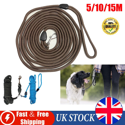 15m pet puppy dog - 5/10/15m, pet/puppy/dog