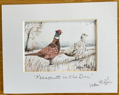 Pheasants the snow - in, snow’