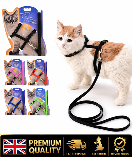 Cats ferrets pets adjustable - ferrets,