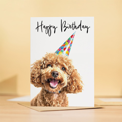 Poodle dog birthday card - poodle,