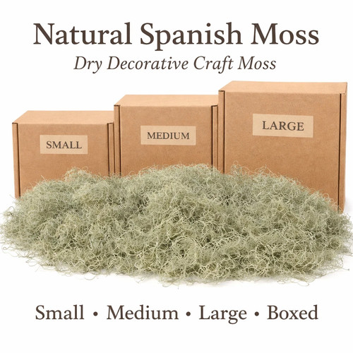 Natural spanish moss - spanish,