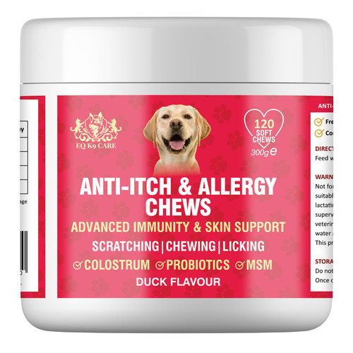 Itch allergy dog - k9,