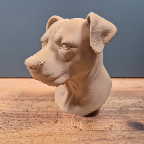 Pitbull terrier bust - pitbull,