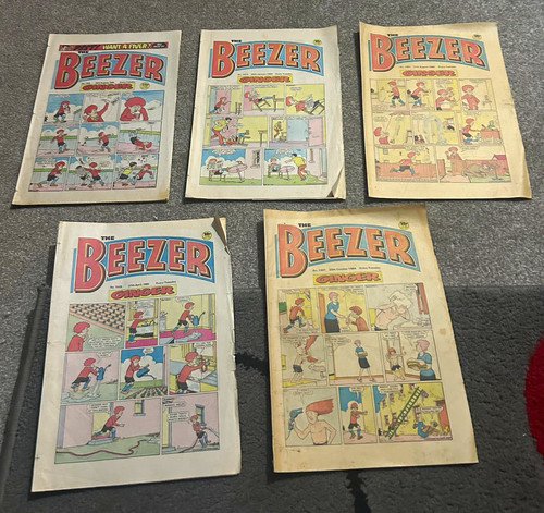 The beezer comics job lot - the,