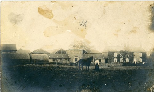 Wetherby large farmstead lady - large, farmstead/lady