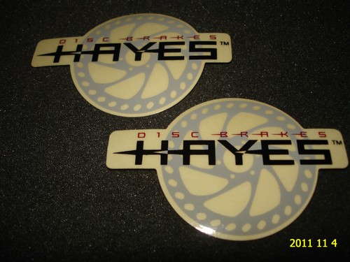 Authentic hayes disc - 2,