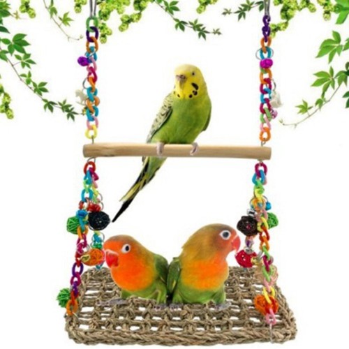 Parrot toy bird - toy,