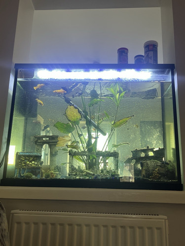 100 litre glass - 100,