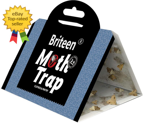 Pack pantry moth traps - pantry, safe