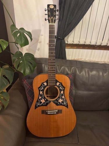 Kay kdg70 acoustic - kay,