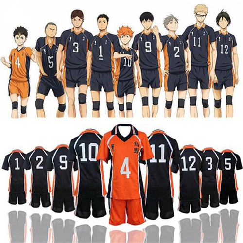 Haikyuu karasuno high school - haikyuu,