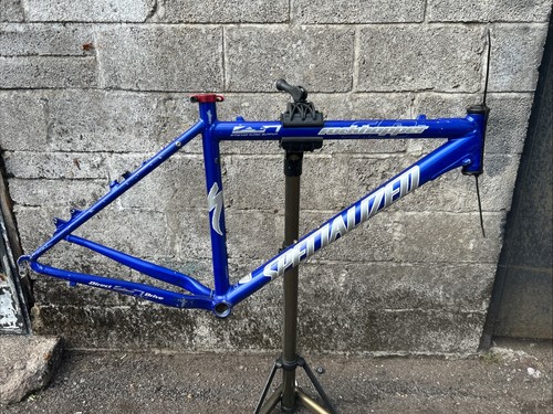 Specialized rockhopper - 19”,