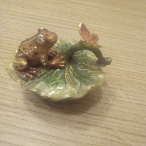 Frog lily pad - frog, with
