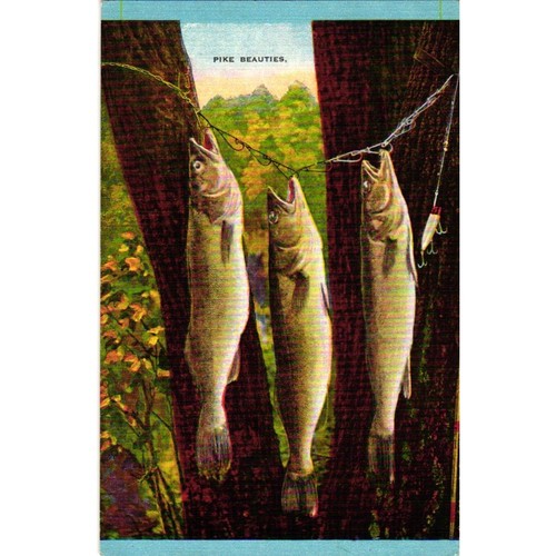 Vtg pike beauties fishing - pike,