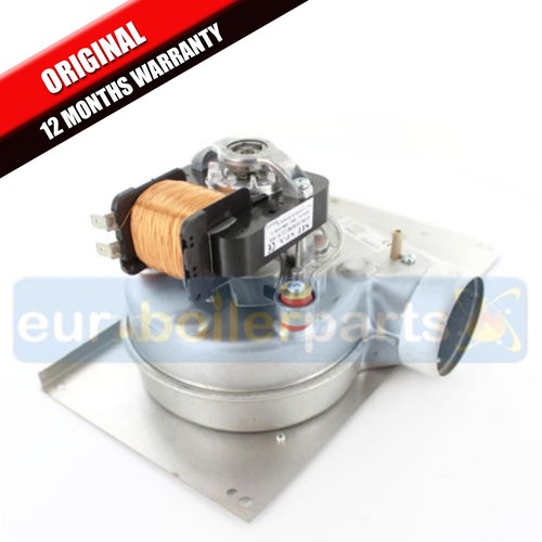 Halstead ace high combi 102 - combi, 82