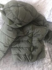 next green dinosaur coat