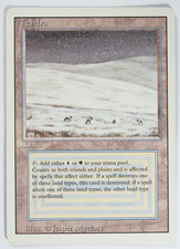 Tundra Dual Land Revised MTG