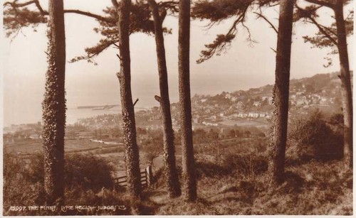 57449 lyme regis dorset - [57449],