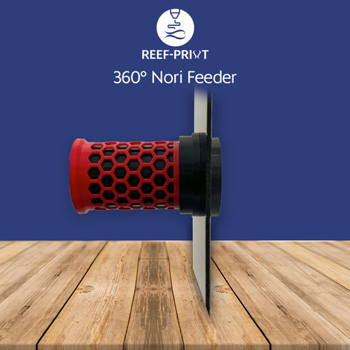 360 degree nori - 360,