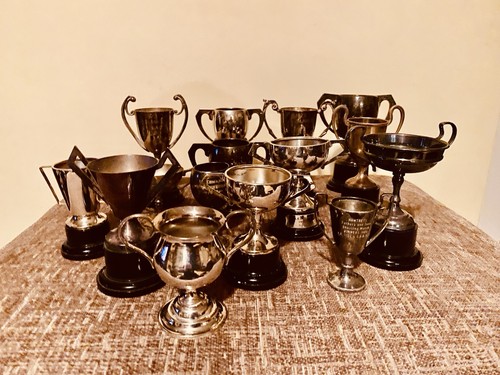 15x silver trophy vintage - 🏆,