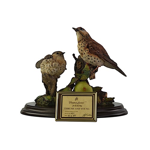 Country artists birds thrush - artists,, birds,