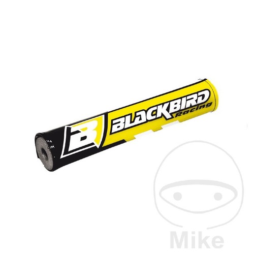 Blackbird racing motorcycle - racing,