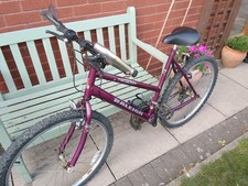 Raleigh Max Ogre 15 Women's Mountain with Shimano gears