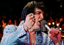 Elvis Presley 10 x 8 Publicity