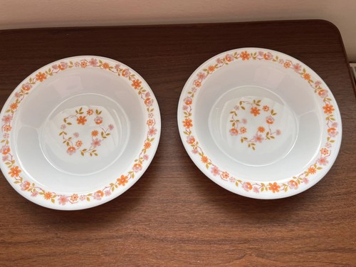 Soup bowls arcopal - bowls,