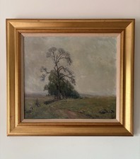 Beautiful Tree Landscape -